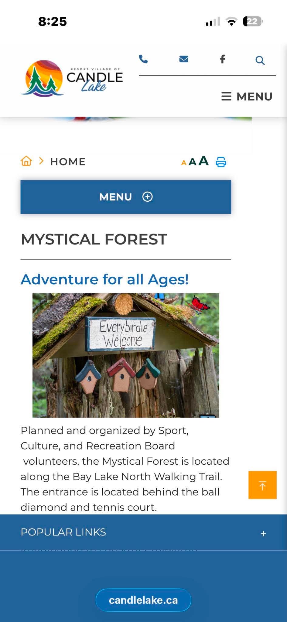 Mystical Forest display in Candle Lake