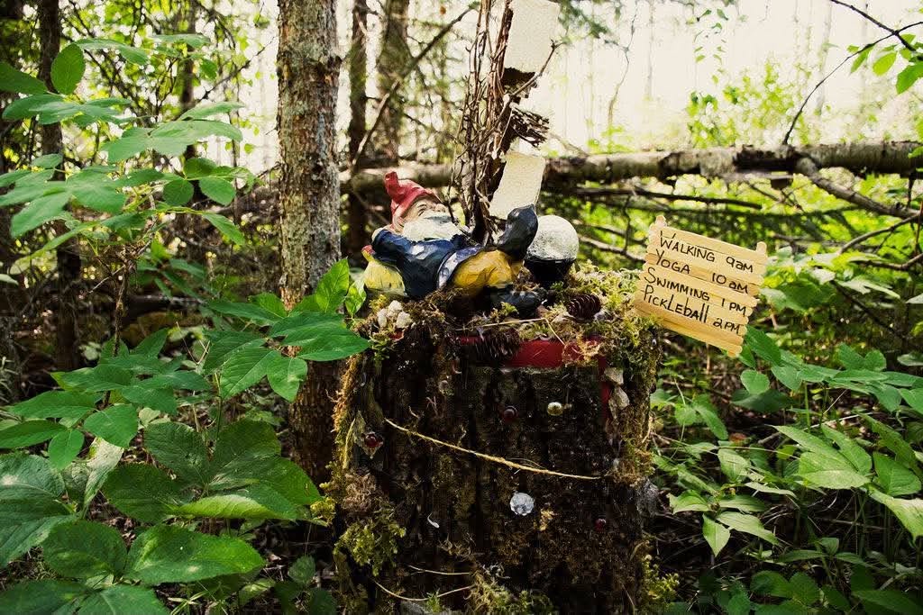 Mystical Forest display in Candle Lake