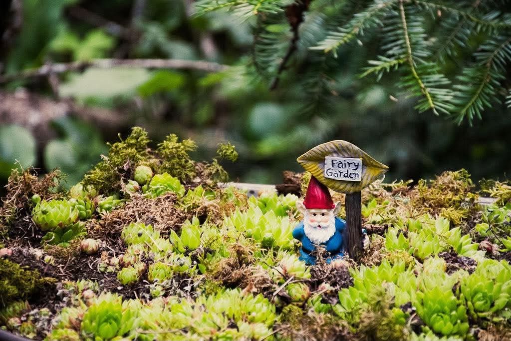 Mystical Forest display in Candle Lake